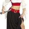Renaissance Pirate Adult Costume