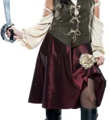 High Seas Pirate Adult Plus Costume
