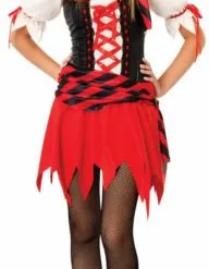 Pirate Lass Teen Costume