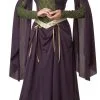 Lady In Waiting Adult Costume
