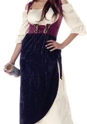 Tavern Wench Adult Costume