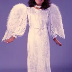 Velvet Angel Of Light Child Costume