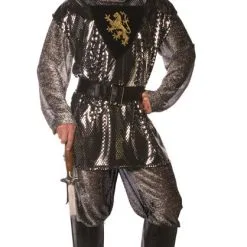 Lancelot Adult Costume